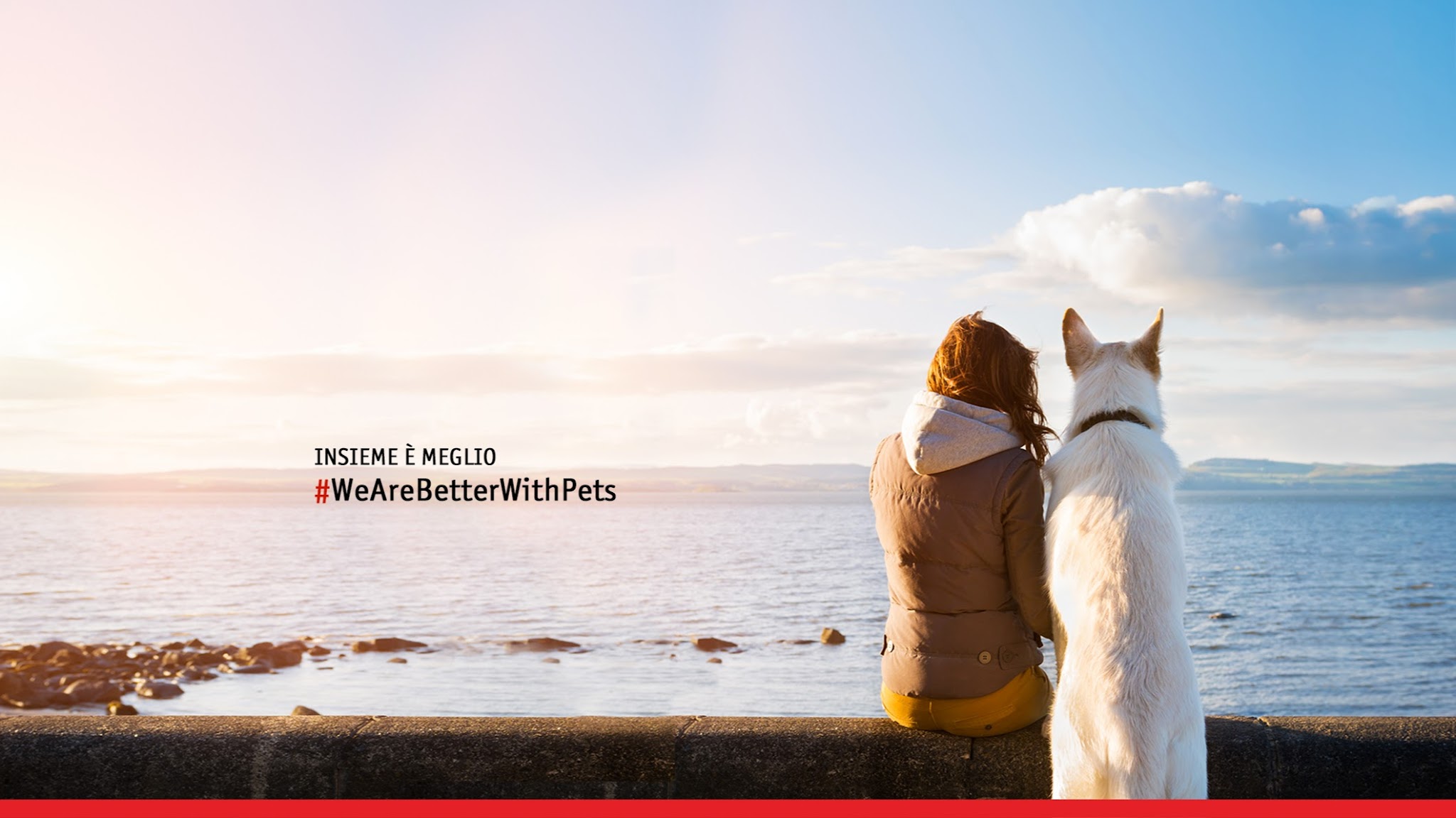 Purina Italia YouTube banner