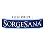 Acqua Sorgesana logo