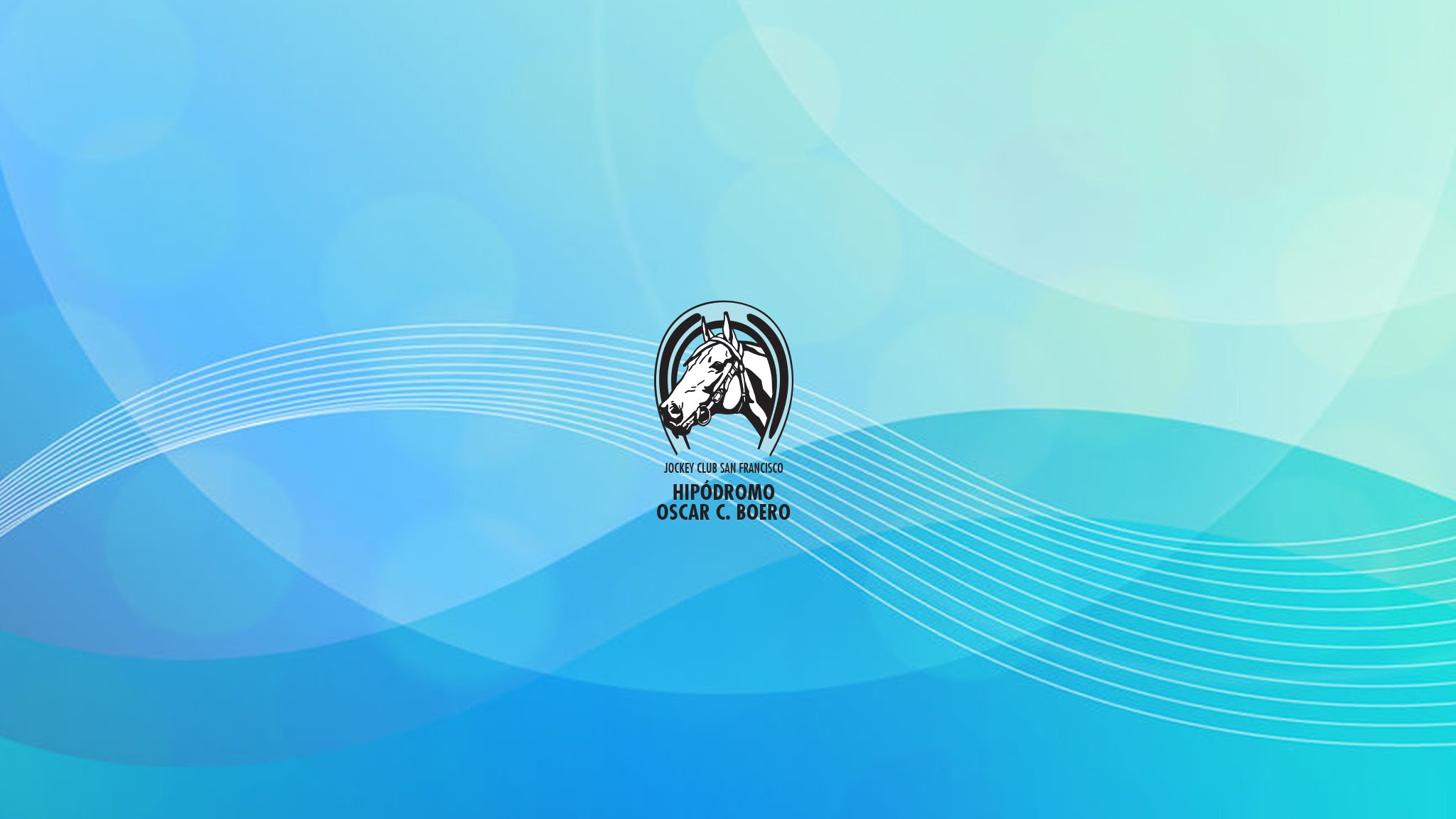 hipodromo san francisco YouTube banner
