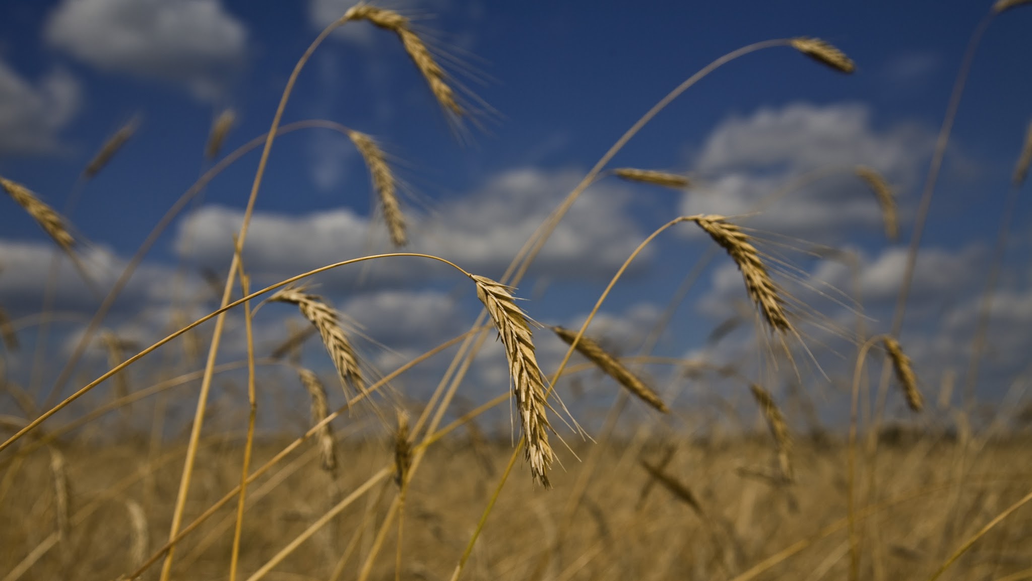 EU Food & Farming YouTube banner