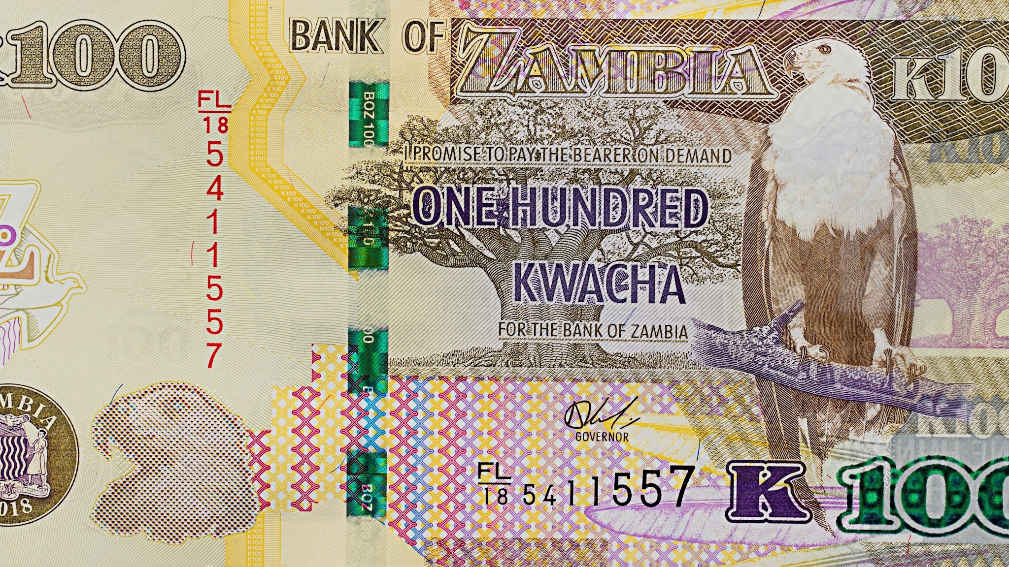 Bank of Zambia YouTube banner