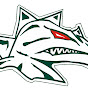Danube Dragons logo