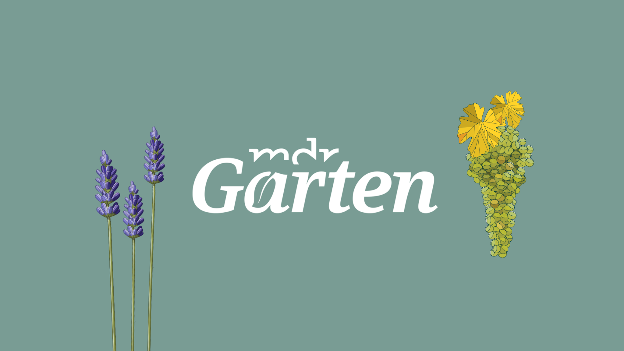 MDR Garten YouTube banner