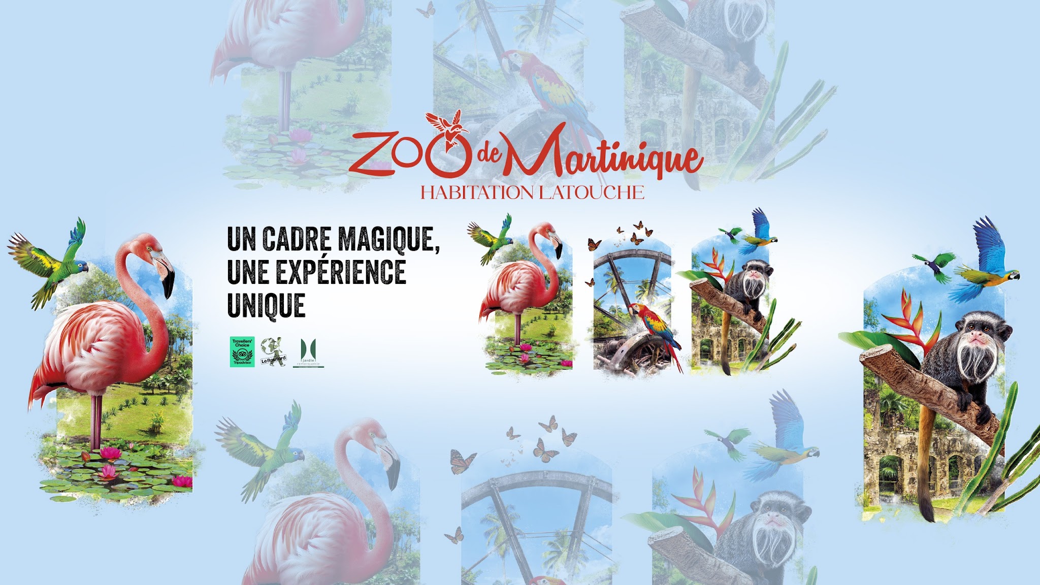 Zoo de Martinique YouTube banner