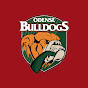 Odense Bulldogs TV logo