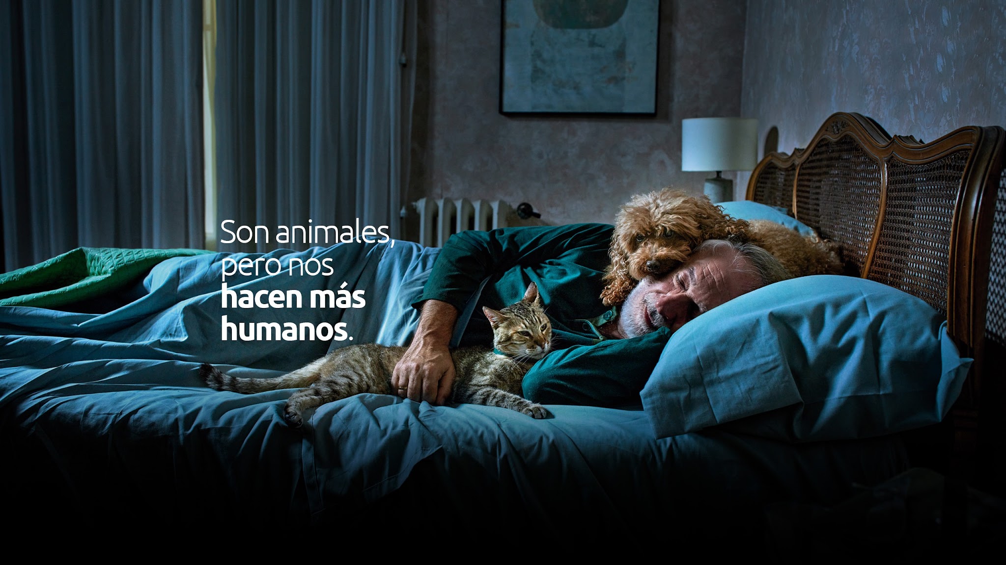 Ultima Petfood España YouTube banner
