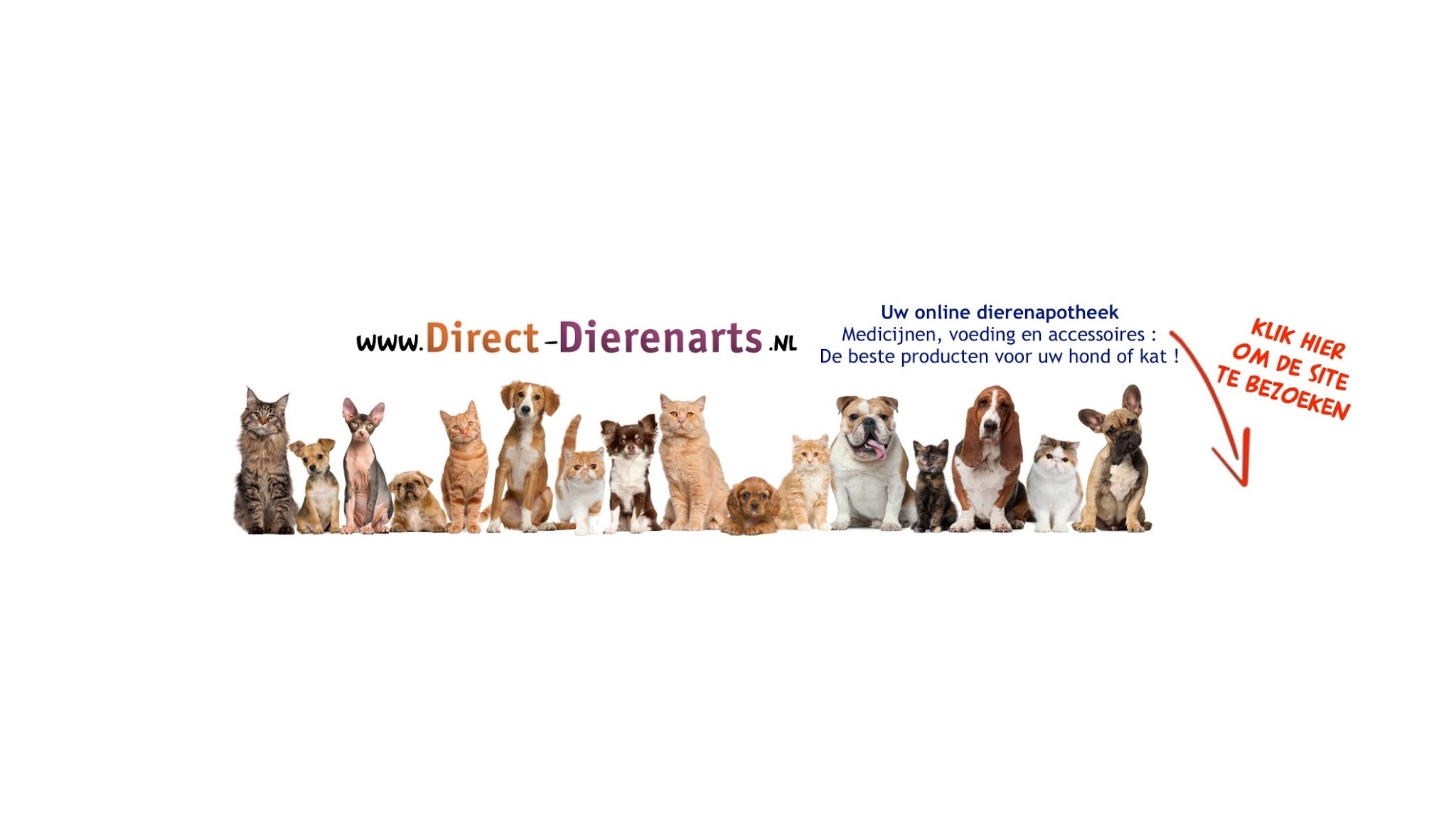 Direct-Dierenarts YouTube banner