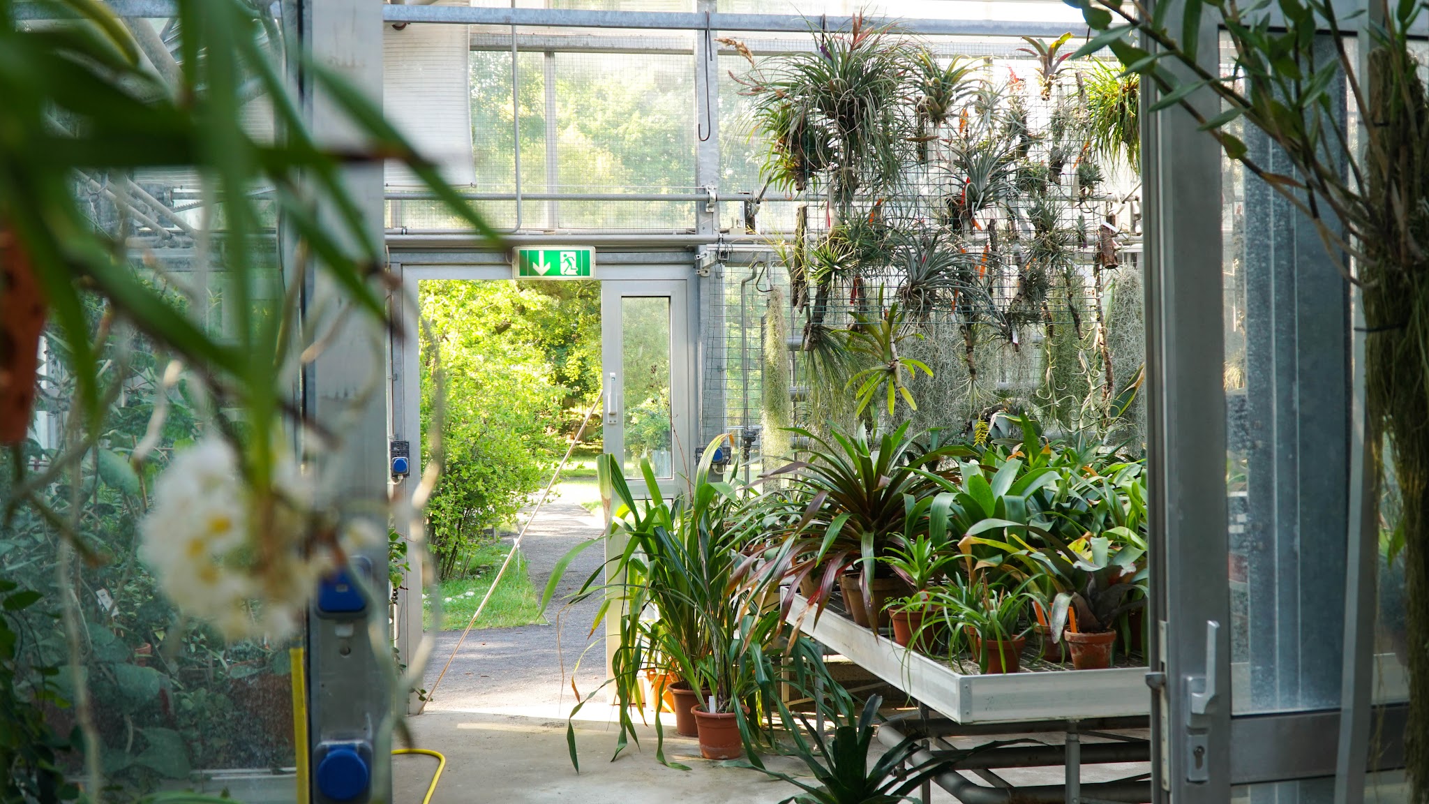 Botanischer Garten der Universität Leipzig YouTube banner
