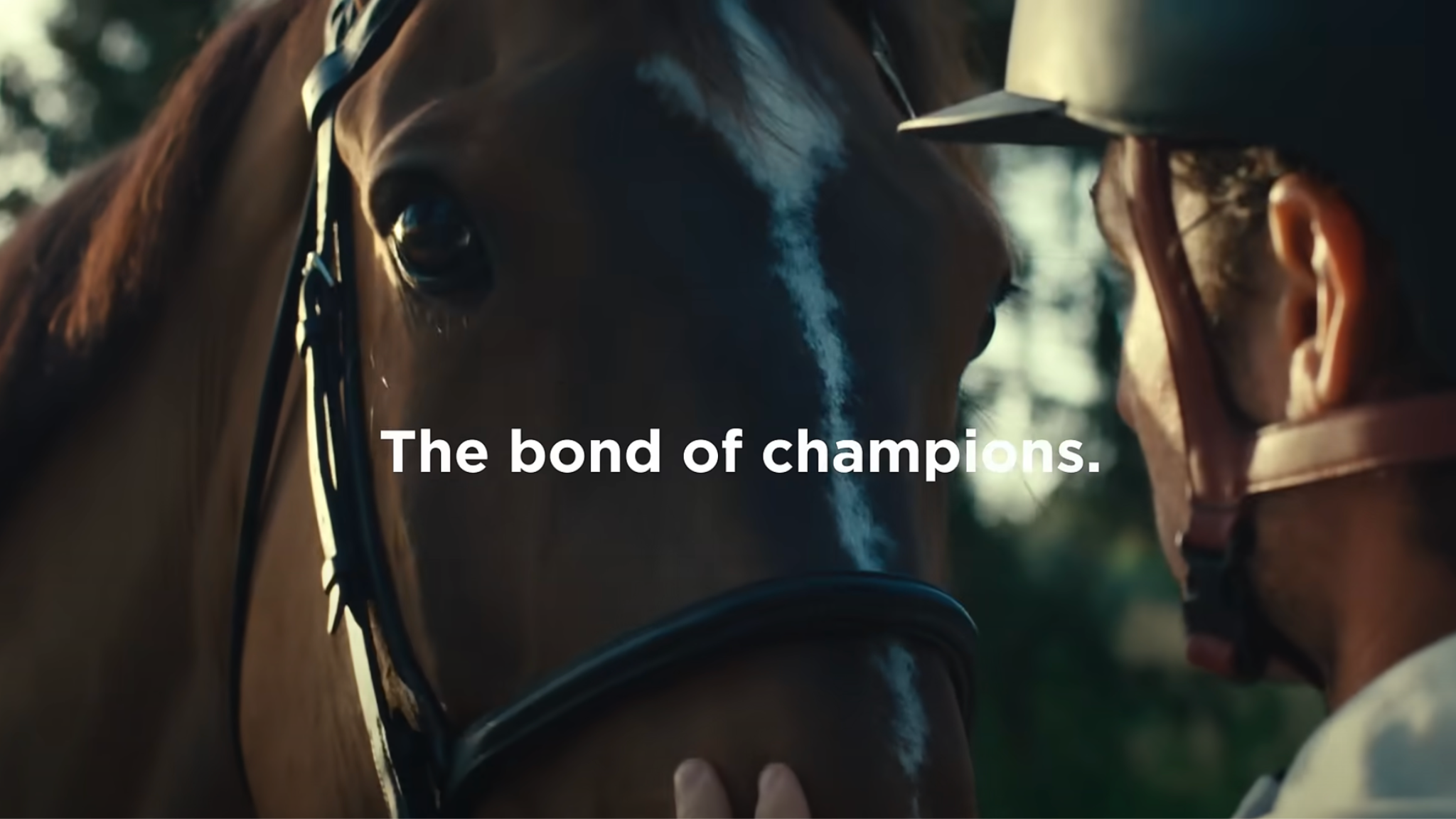 Rolex Grand Slam of Show Jumping YouTube banner