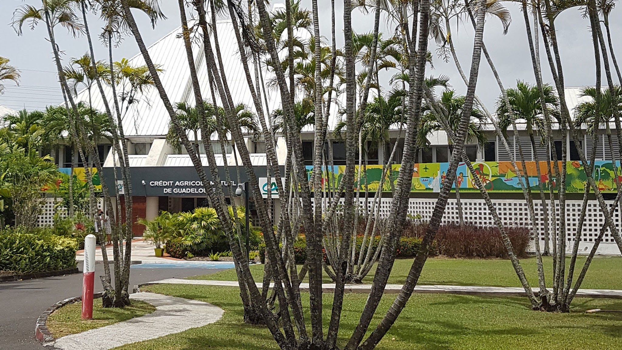 Crédit Agricole Mutuel de Guadeloupe YouTube banner
