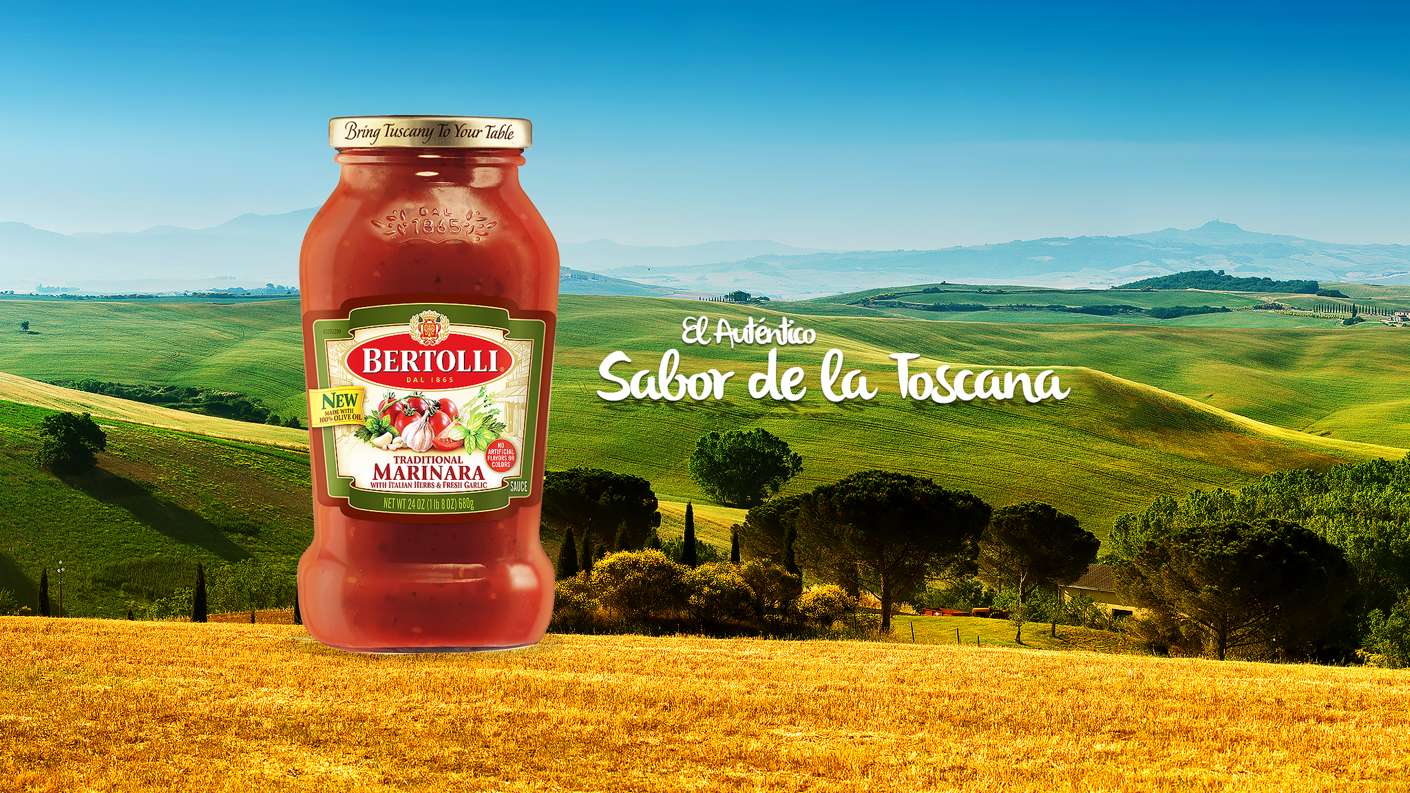 Bertolli Mx YouTube banner