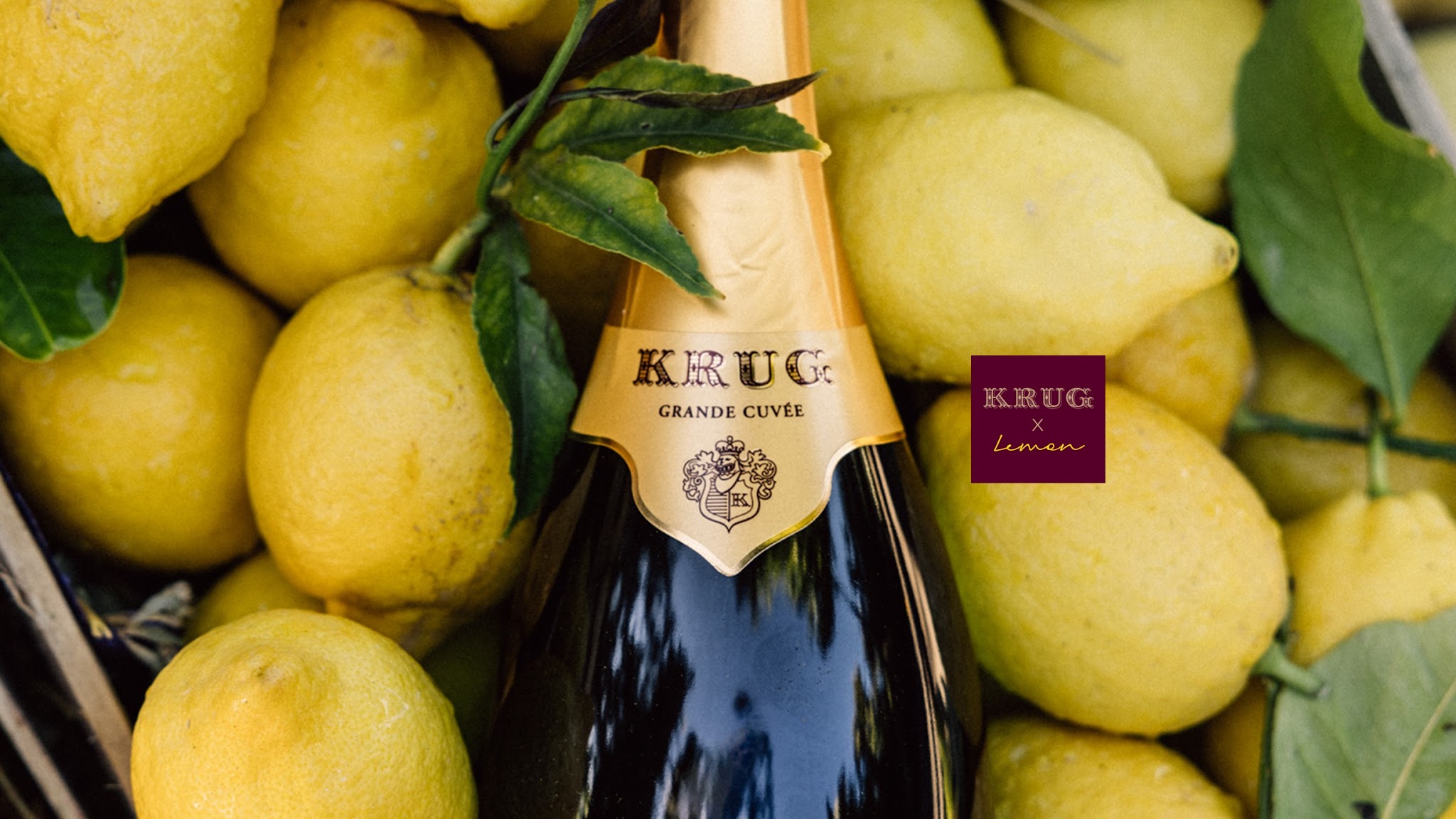 Krug Champagne YouTube banner