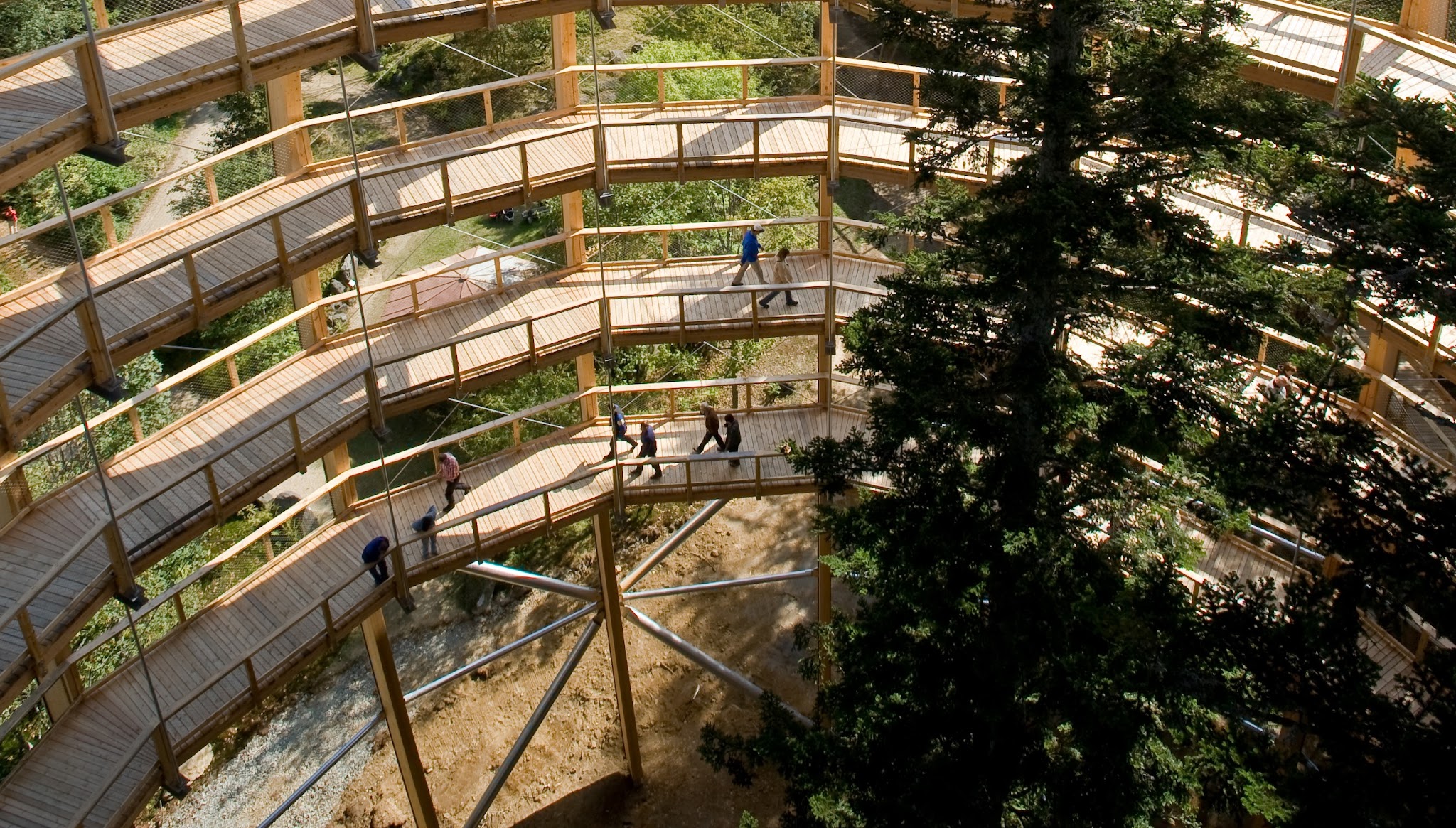 WIEHAG Timber Construction YouTube banner