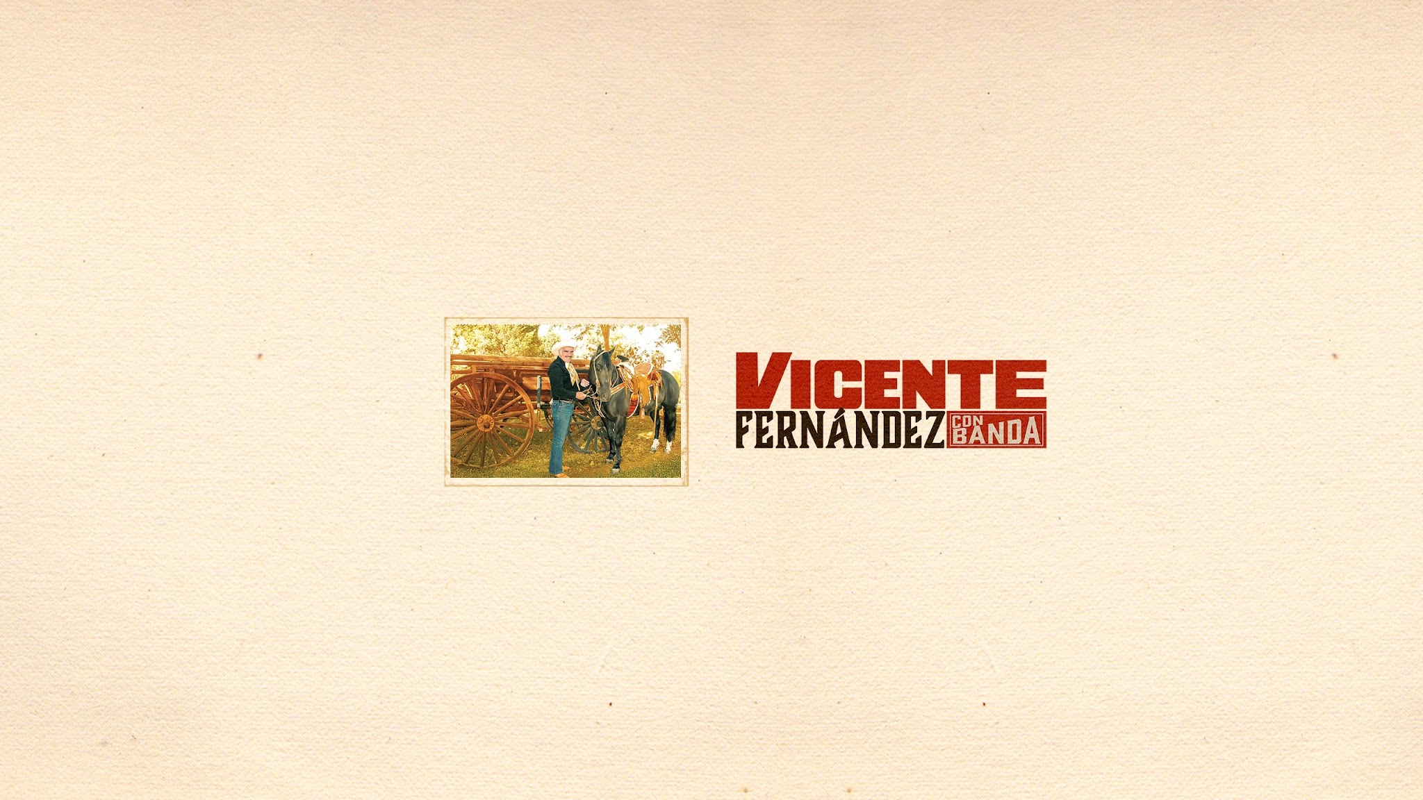 vicentefernandez® YouTube banner