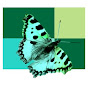 Museu de Ciències Naturals de Granollers logo
