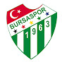 Bursaspor logo