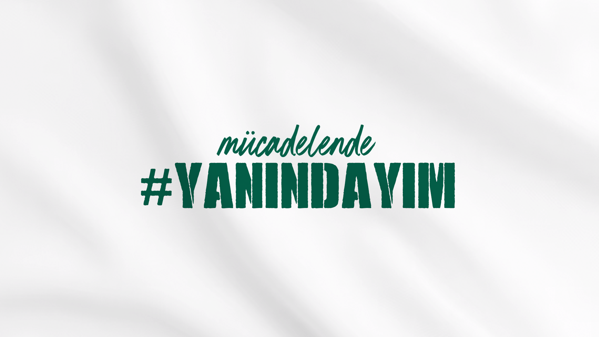 Bursaspor YouTube banner