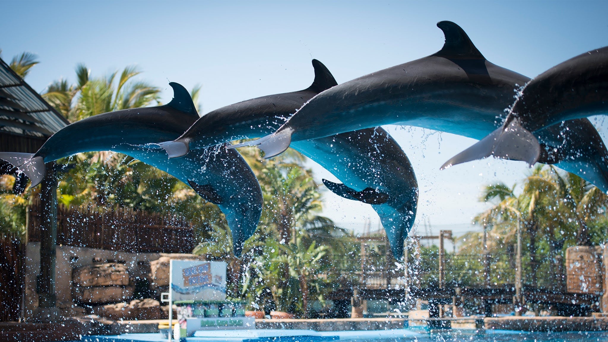 uShaka Marine World YouTube banner