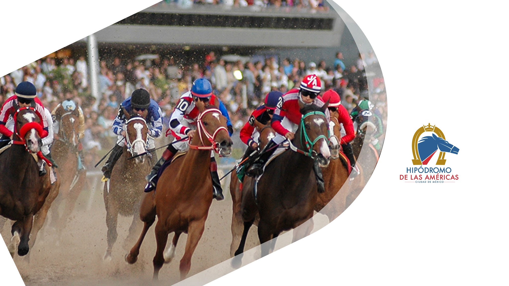 Hipódromo de Las Américas YouTube banner
