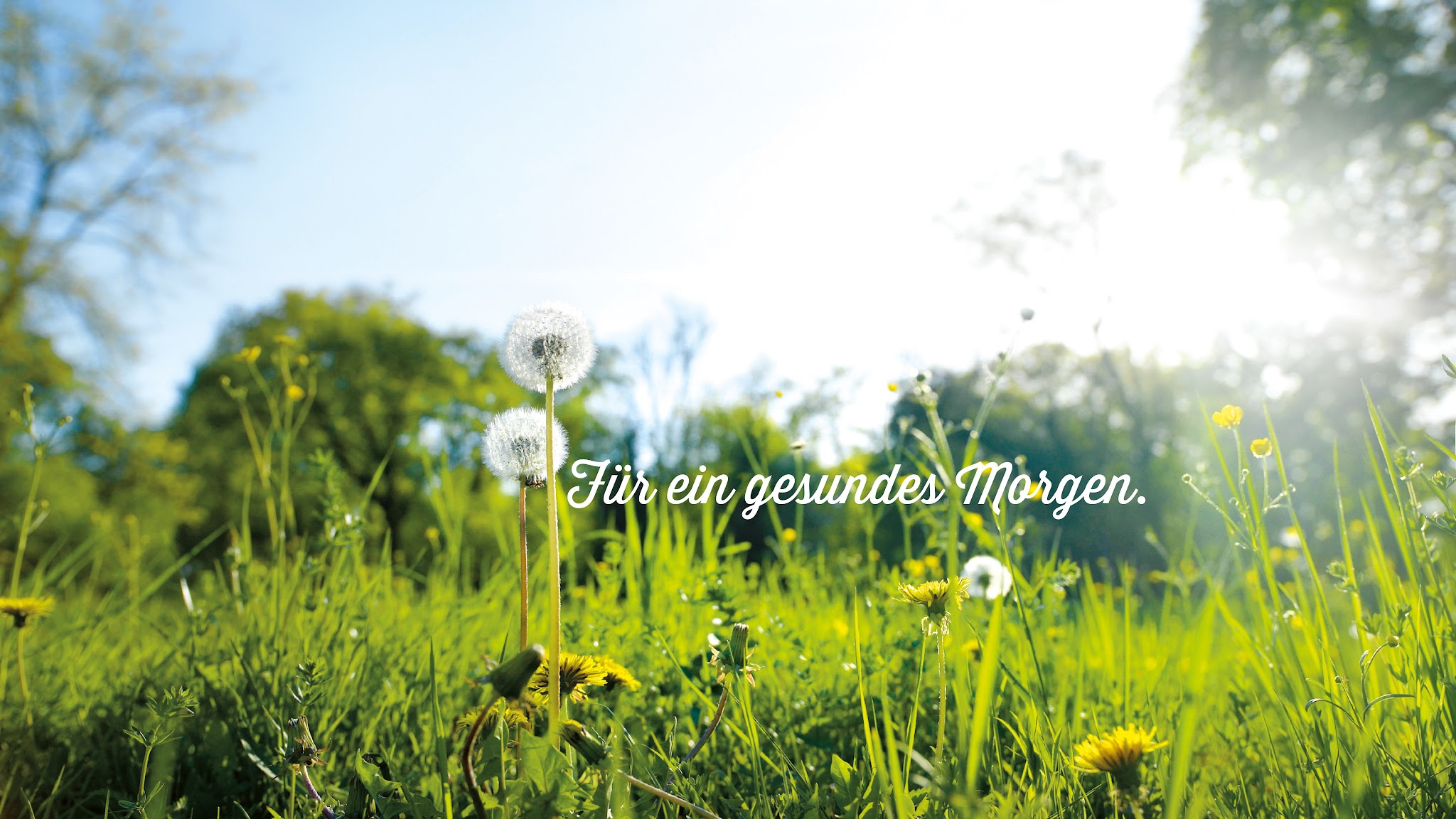 naturimgarten YouTube banner