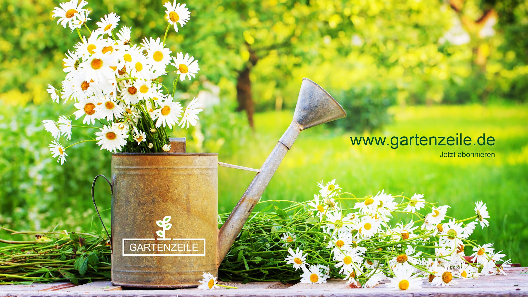 Gartenzeile YouTube banner
