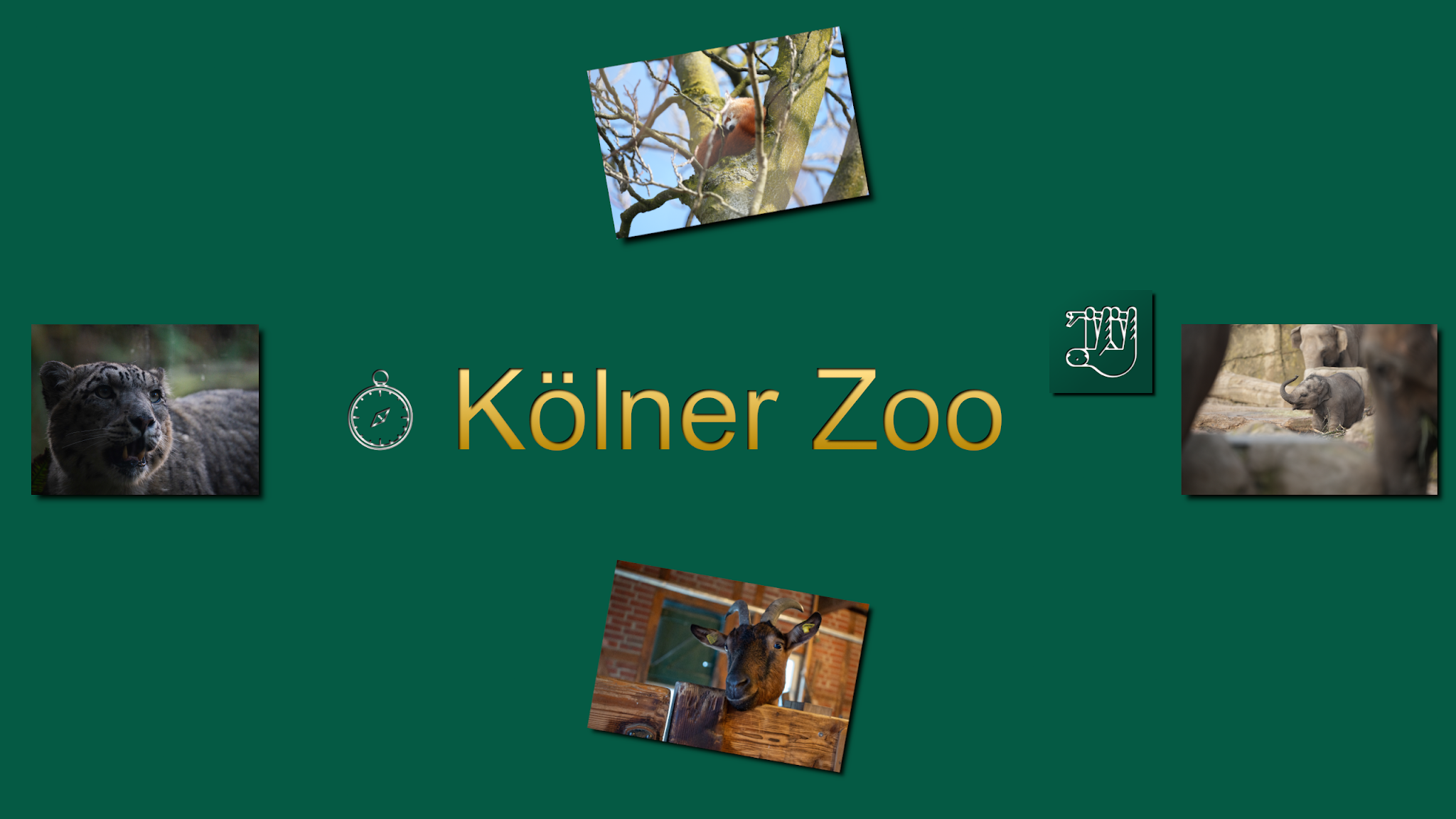 Kölner Zoo YouTube banner