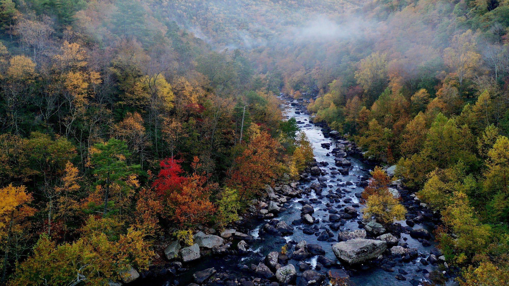 ForestryTV YouTube banner