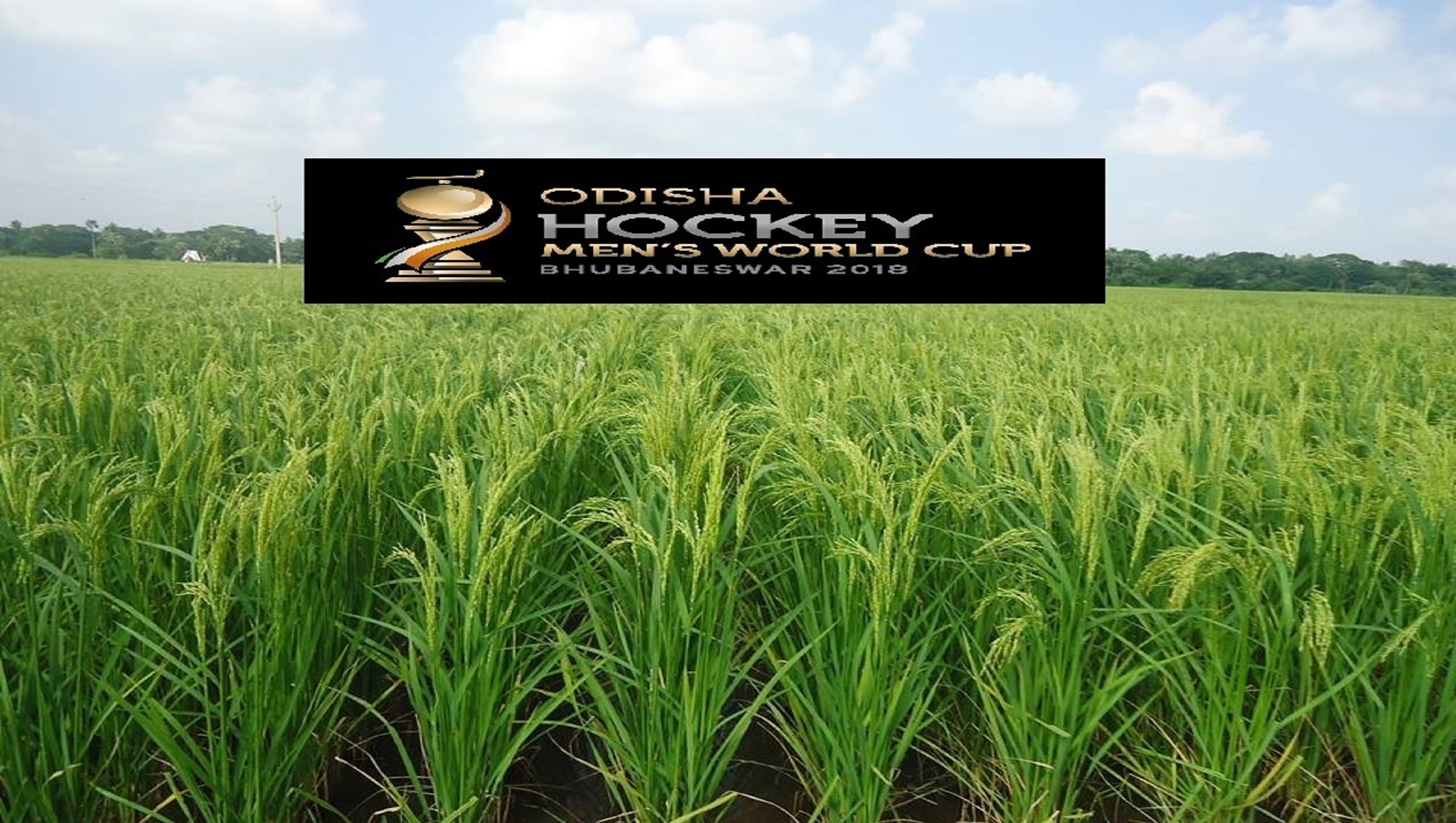 Department of Agriculture & Farmers' Empowerment YouTube banner
