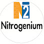 Nitrogenium Innovations & Filteration India logo