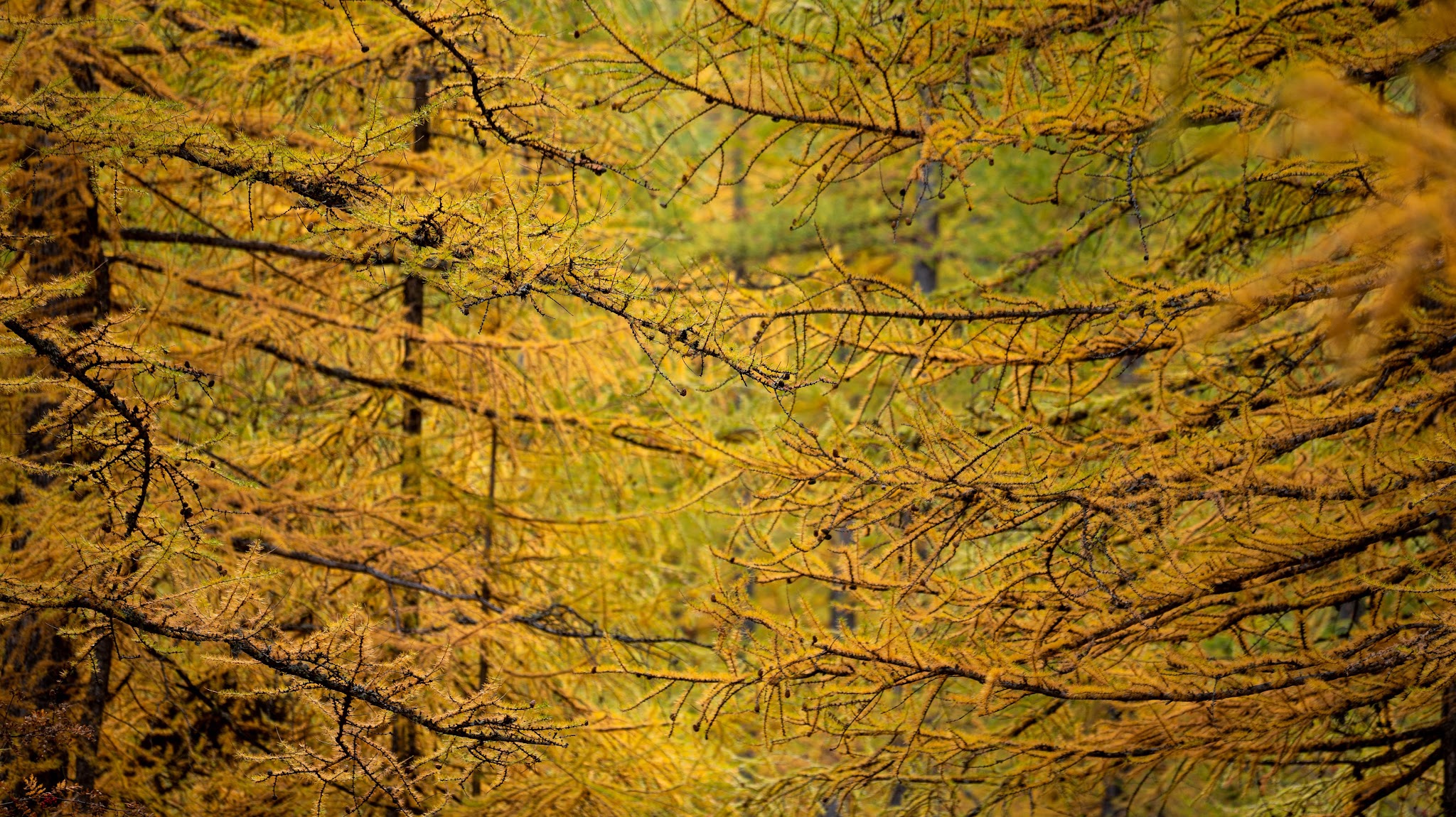 Serre Chevalier Briançon YouTube banner