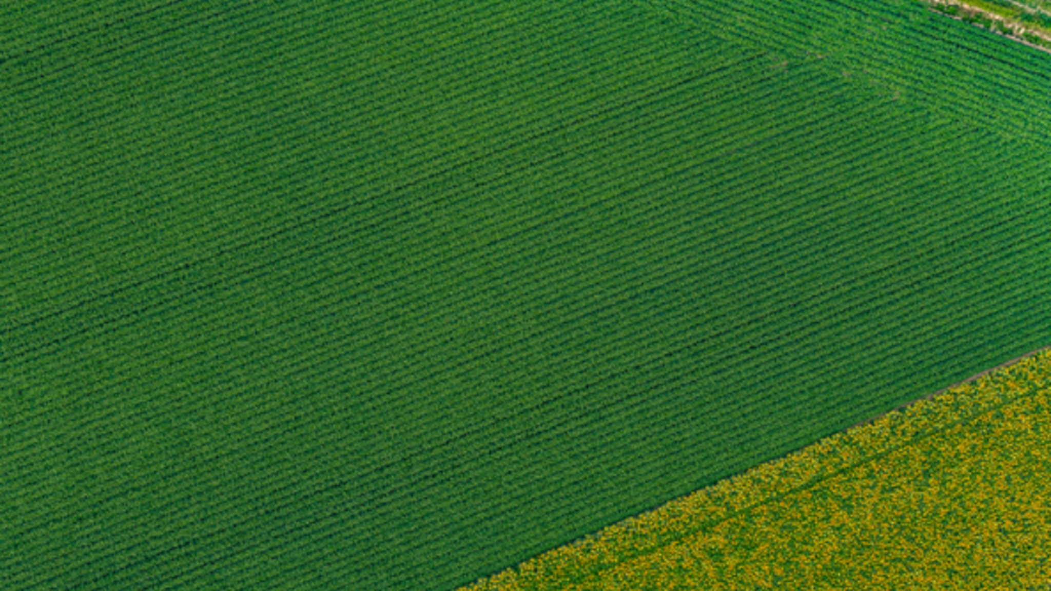 Yara Agri Czech Republic YouTube banner