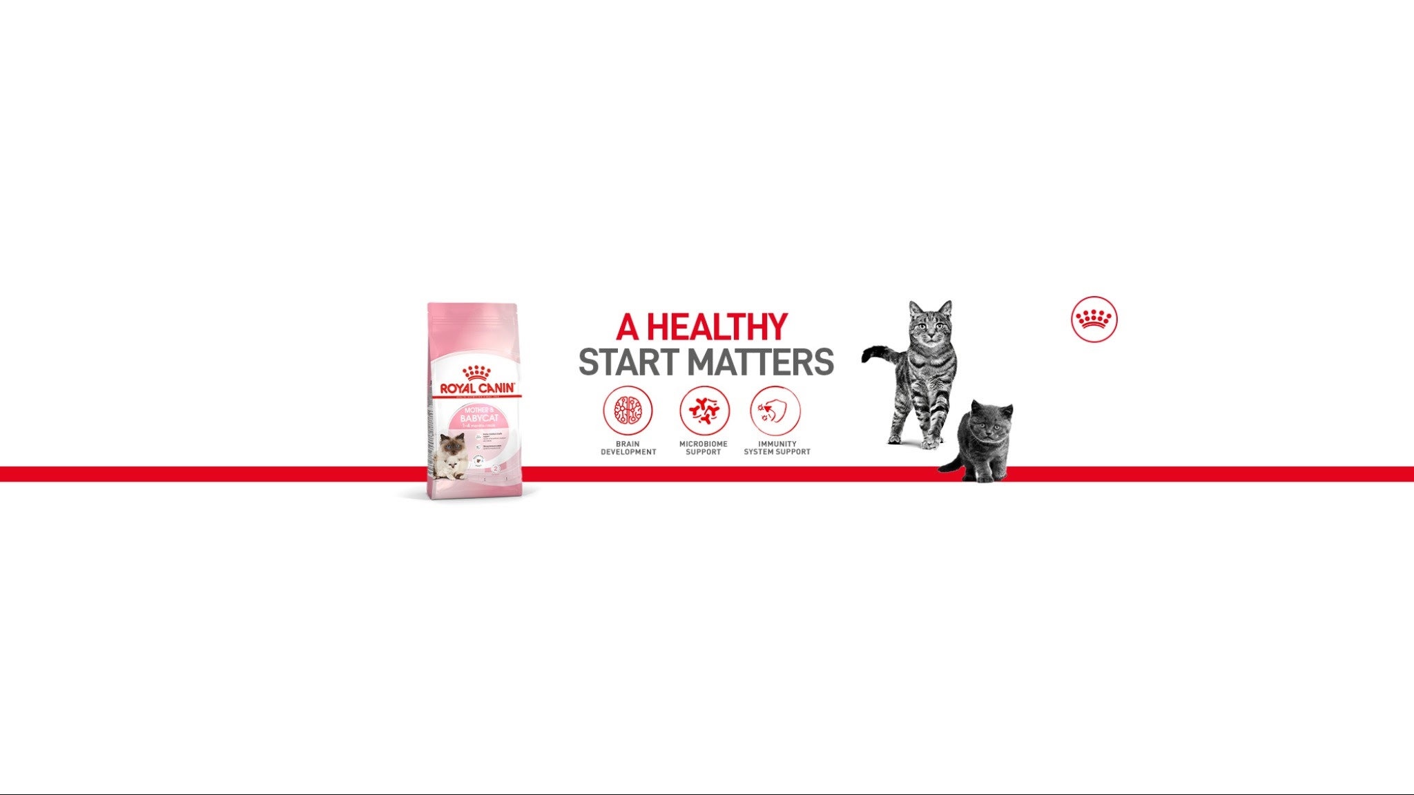 Royal Canin Malaysia YouTube banner