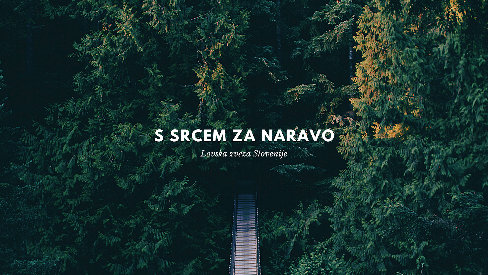 Lovska Zveza Slovenije YouTube banner
