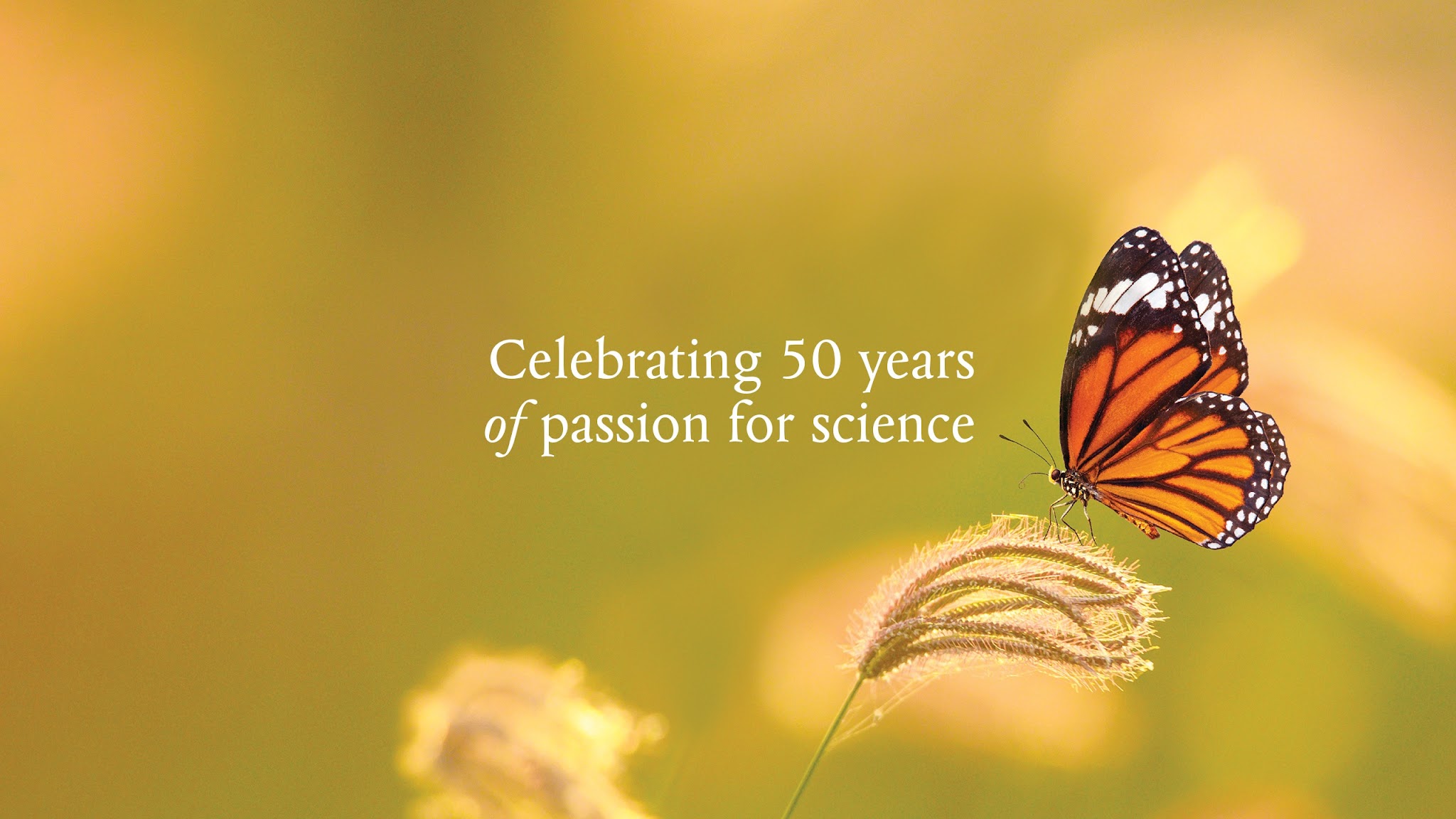 New England Biolabs YouTube banner