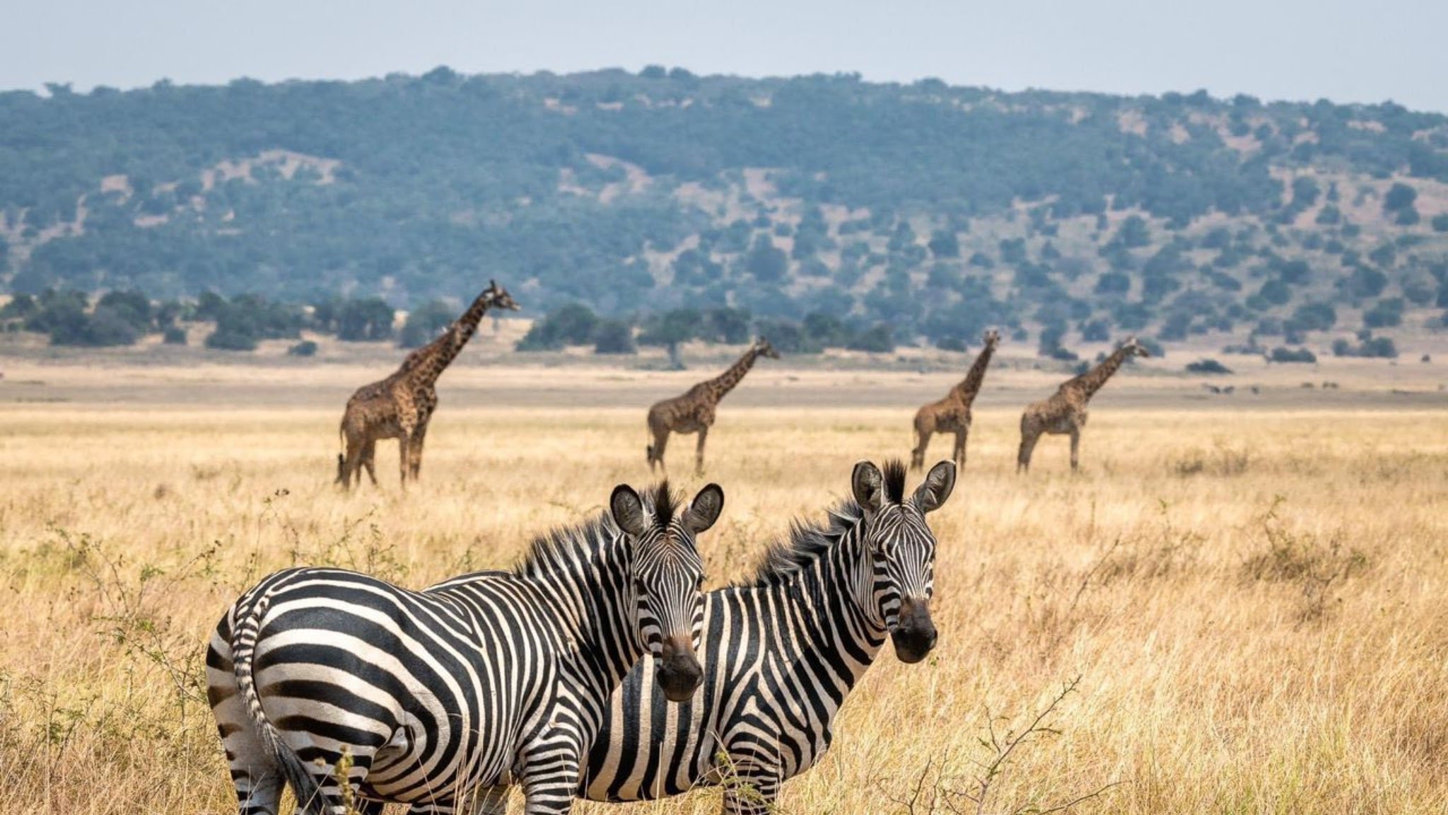 Visit Rwanda YouTube banner