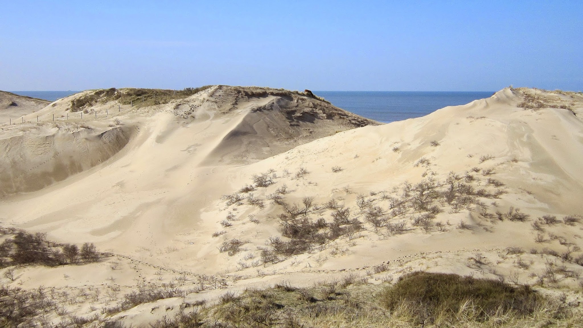 Nationaal Park Zuid-Kennemerland YouTube banner