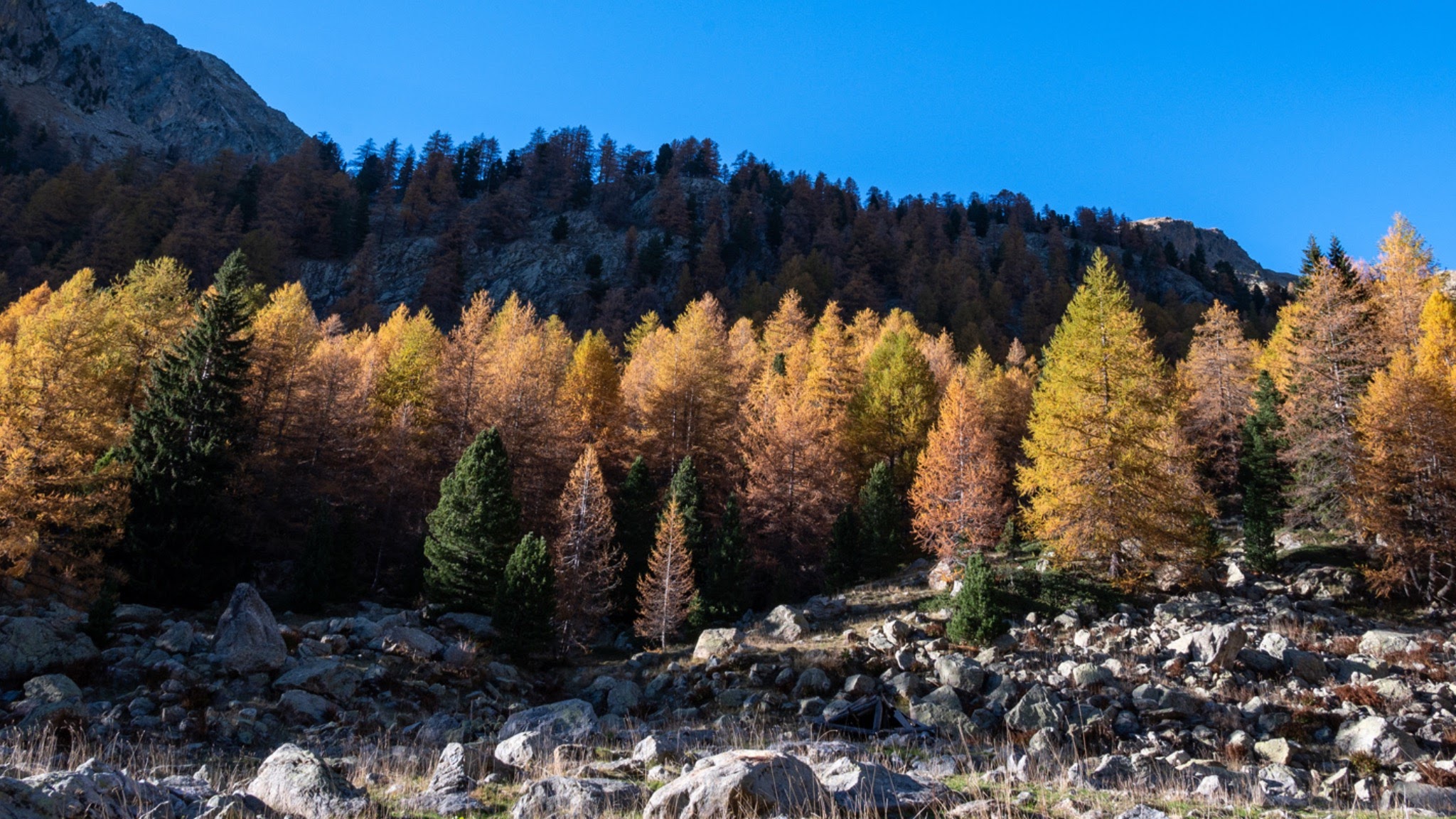Parc national du Mercantour YouTube banner