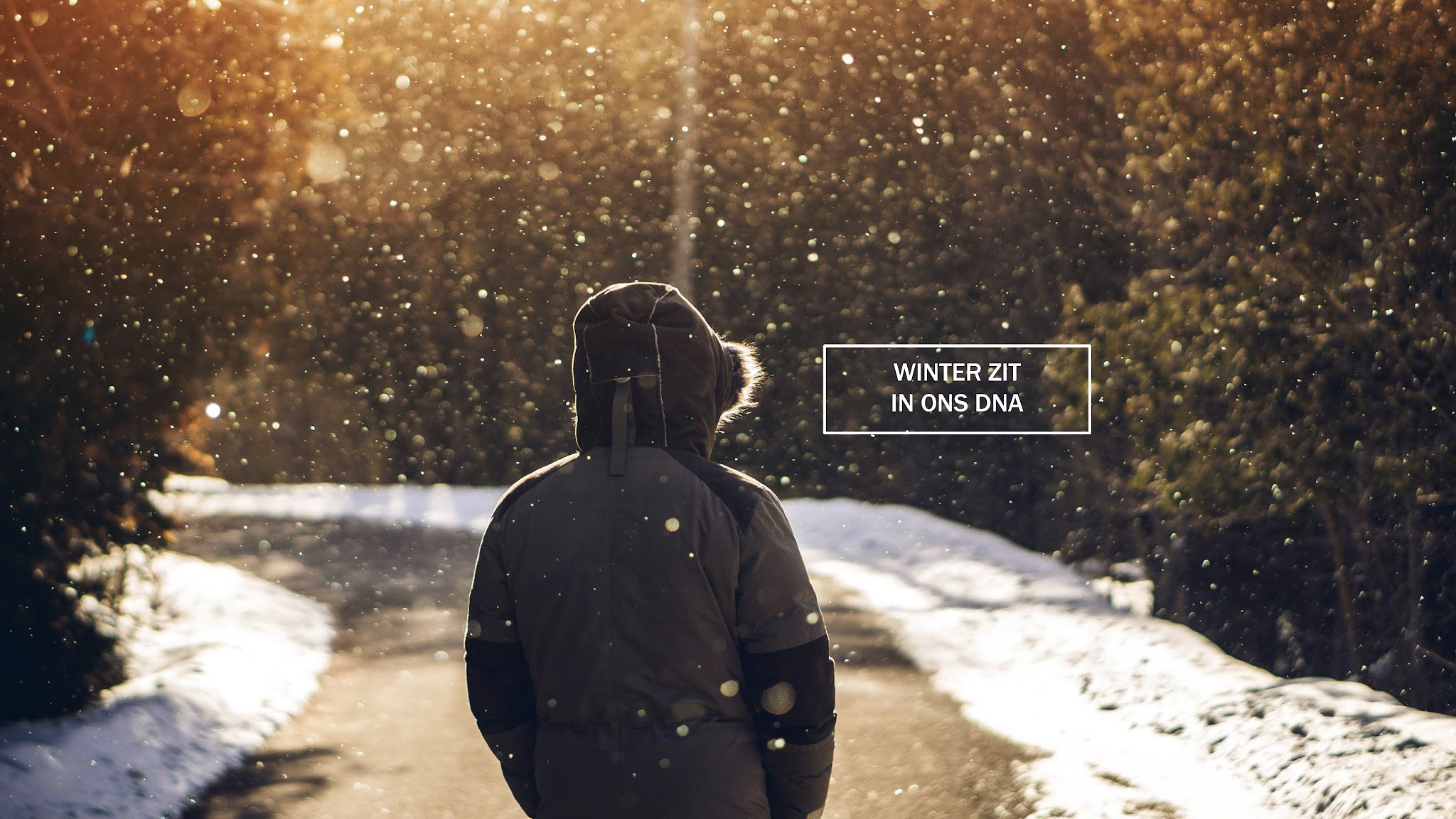 Duijvestein Winterstore YouTube banner