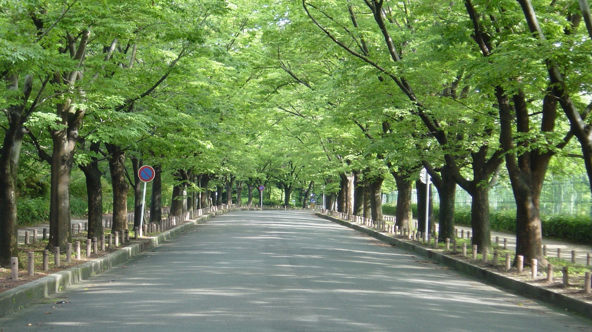 【公式】京都府立植物園 YouTube banner