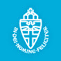 Radboudumc logo