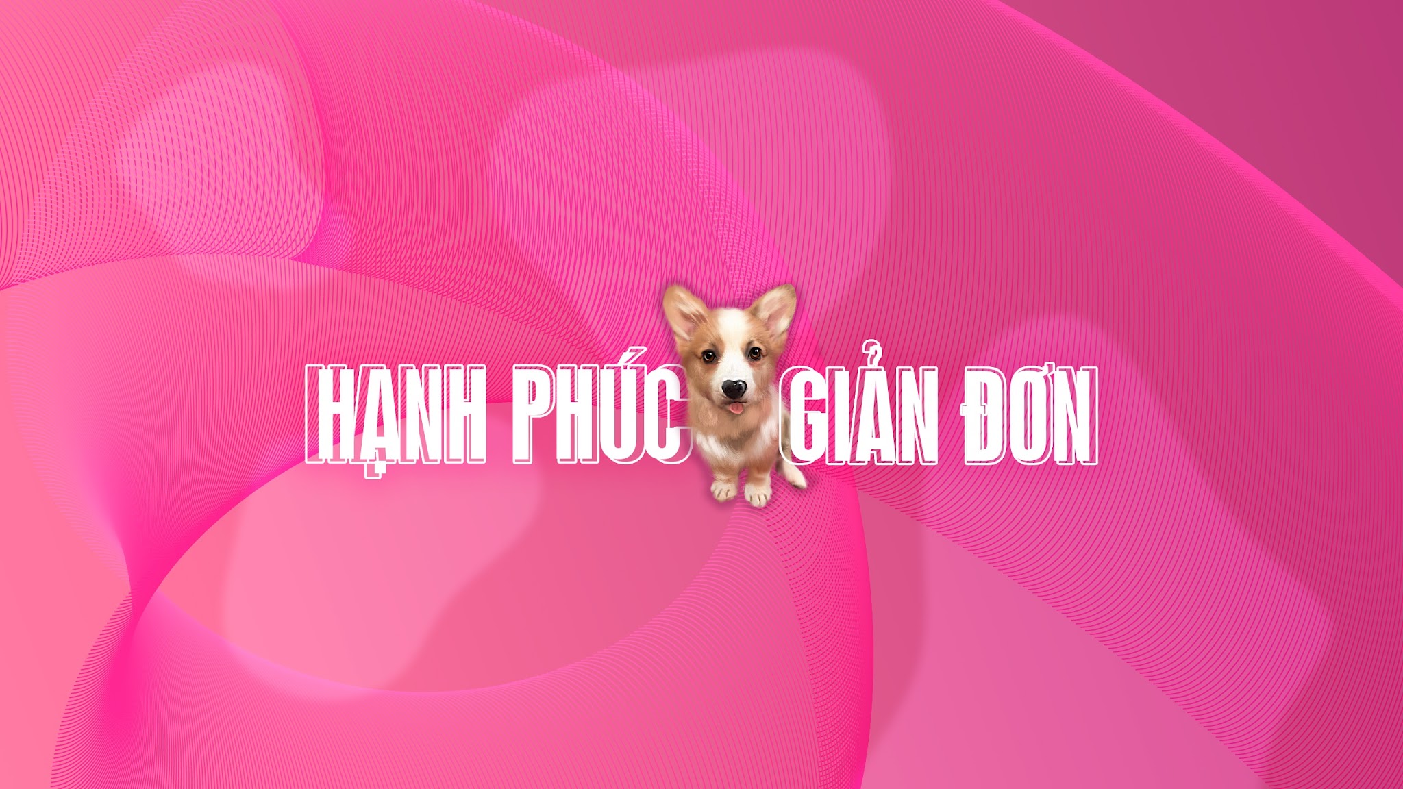 PET PRINCE YouTube banner