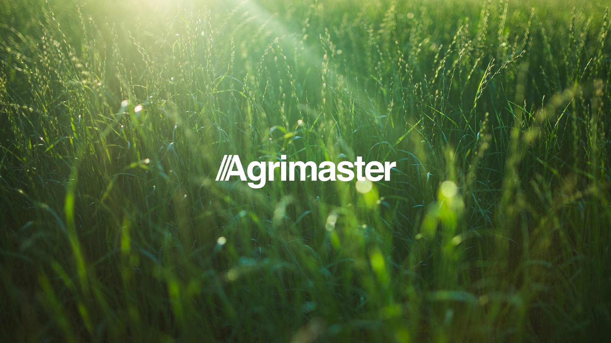 Agrimaster Molinella di Bologna YouTube banner