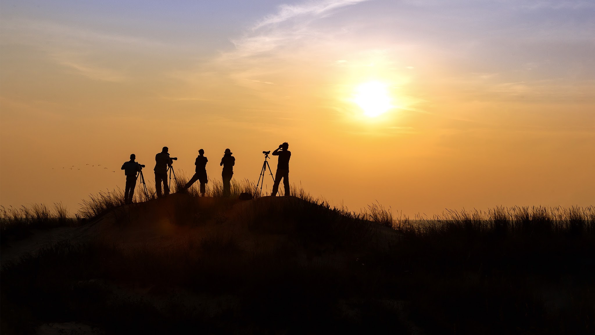 ZEISS Nature YouTube banner