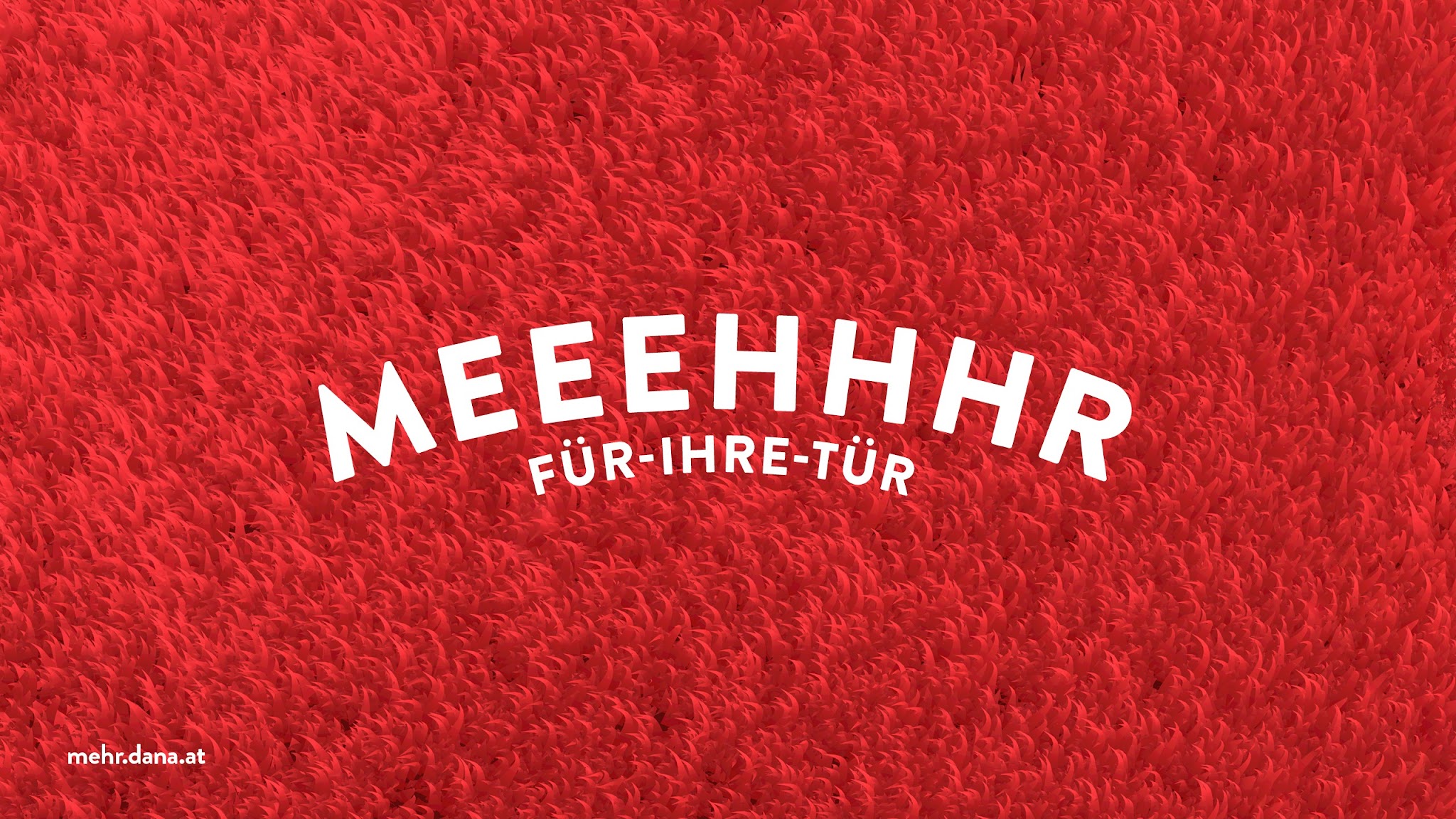 DANA Türen YouTube banner