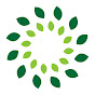 Zentrum der Gesundheit YouTube channel avatar 