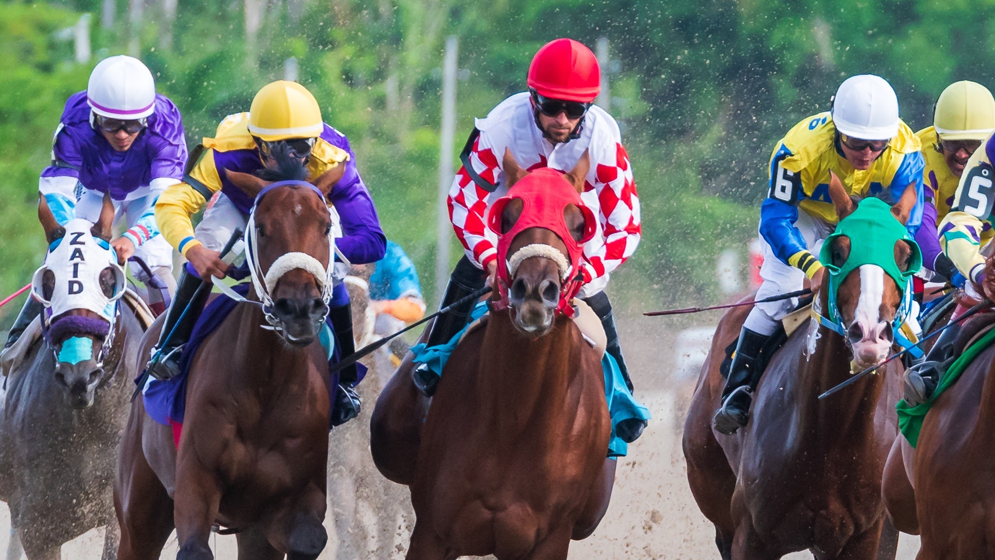 Hipódromo Camarero YouTube banner