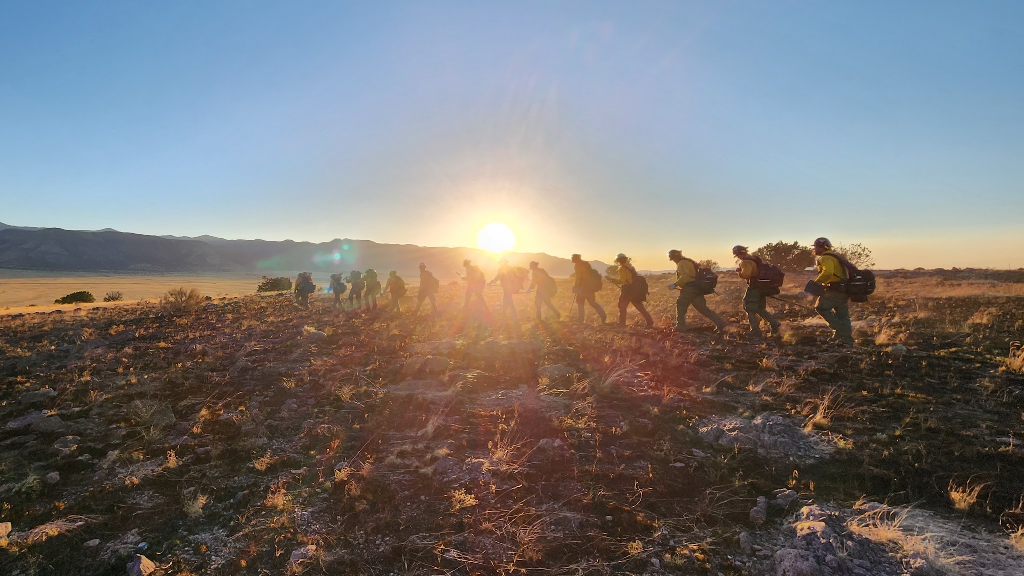 New Mexico Forestry Division YouTube banner