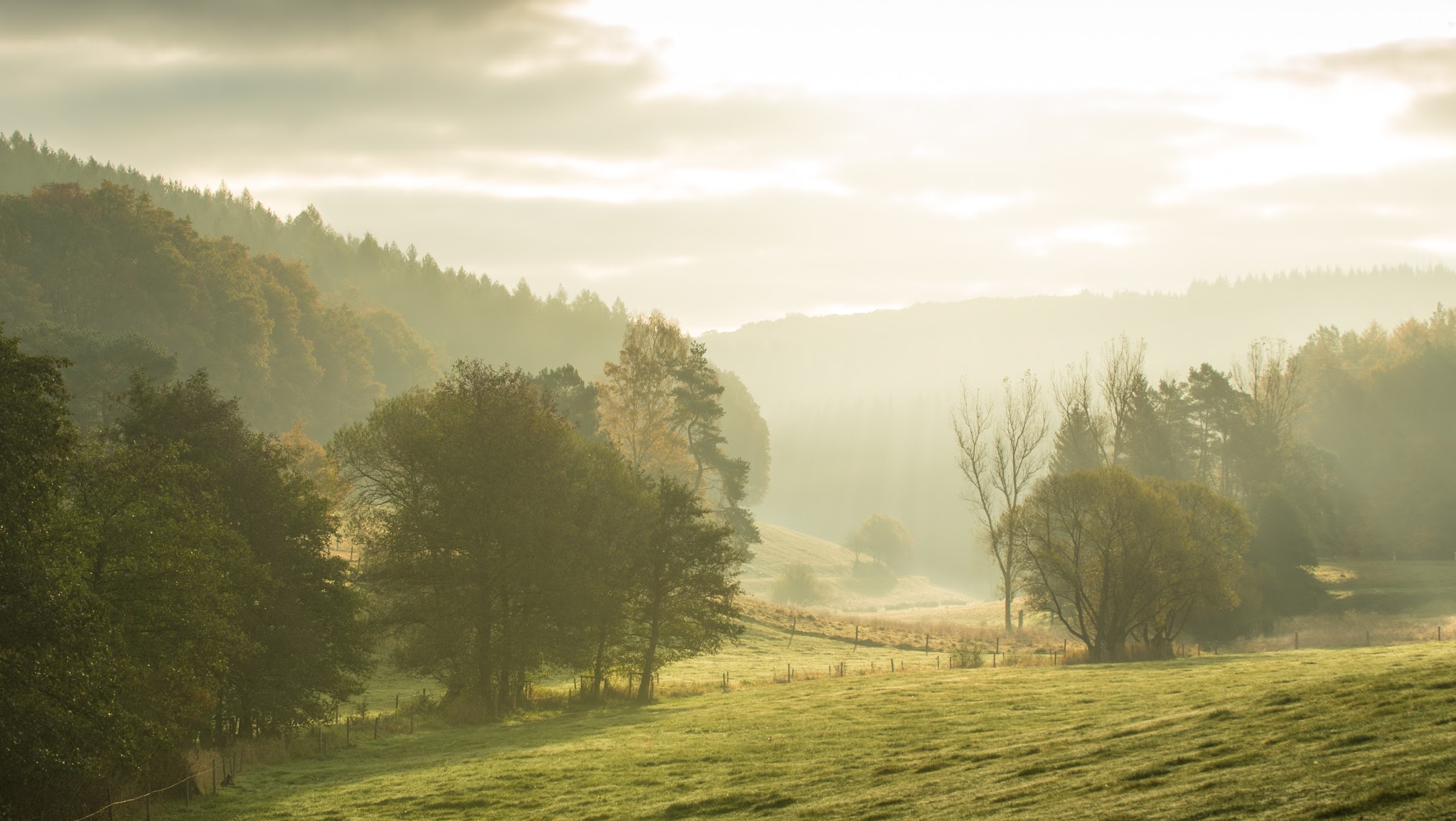 Spessart Tourismus YouTube banner