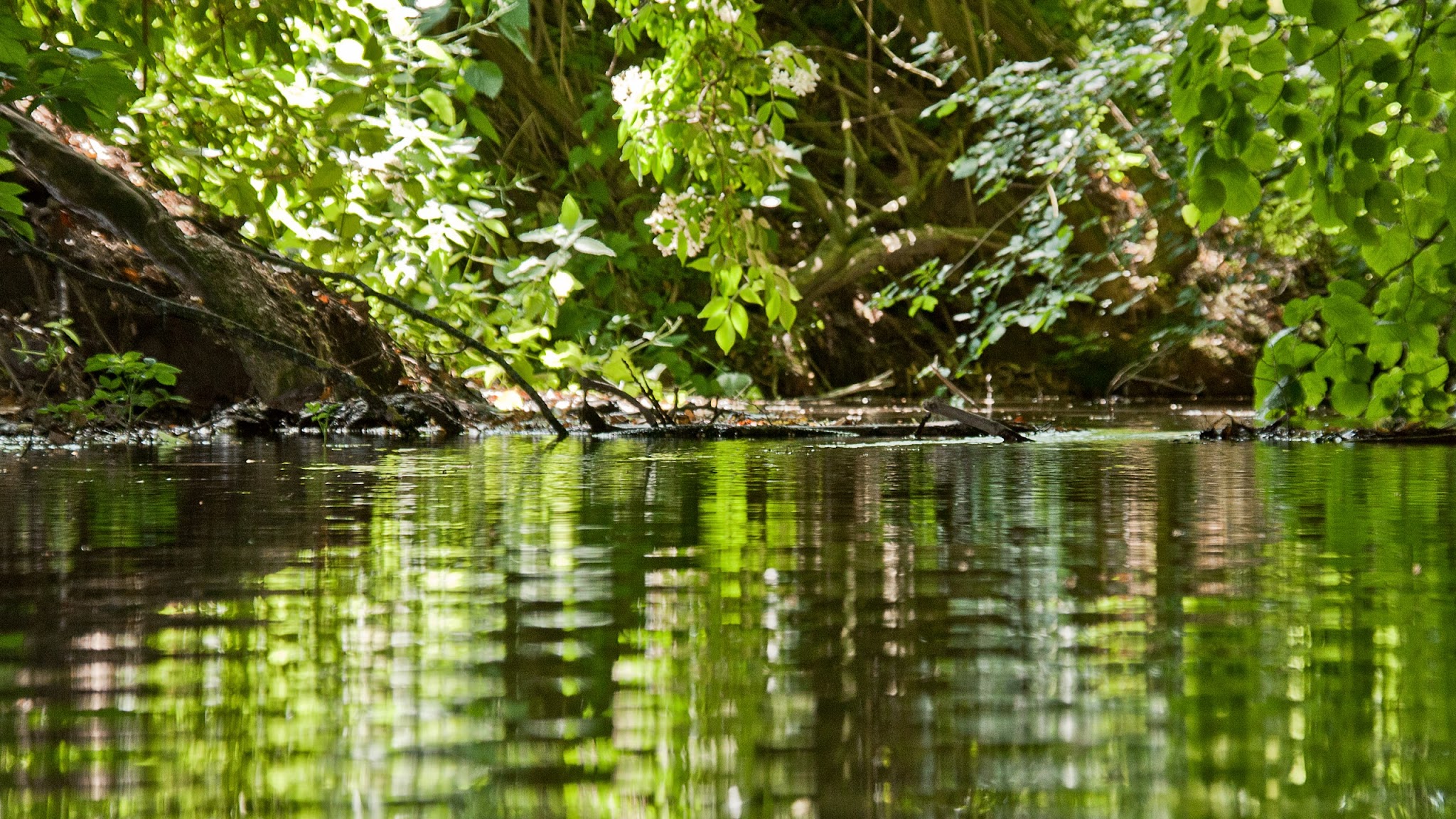 Agencedeleau59 YouTube banner
