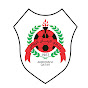 AlRayyanSC logo